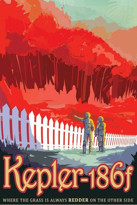 Иллюстрация к книге — Воображаемая жизнь [img_25.jpg]