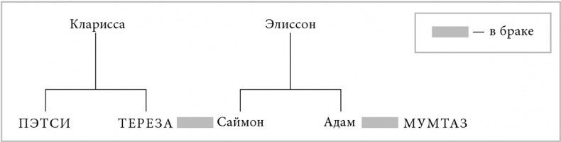 Иллюстрация к книге — Почему женщины носят то, что они носят [i_001.jpg]