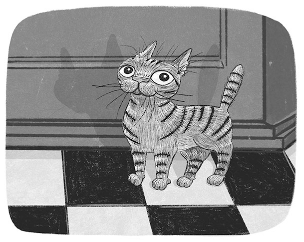 Тайный дневник кота Бориса