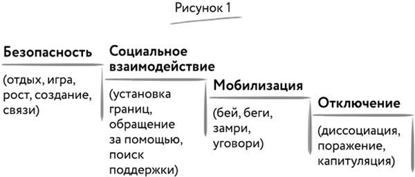 Иллюстрация к книге — Мудрость тела. Как обрести уверенность в себе, улучшить самочувствие и наконец-то получать удовольствие от жизни [i_019.jpg]