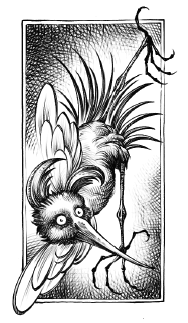 Иллюстрация к книге — Хозяйка Шварцвальда [i_014.jpg]