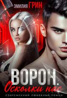 Книга Ворон. Осколки нас Книга Ворон. Осколки нас