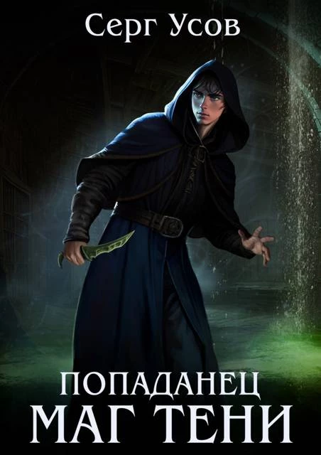 Книга Попаданец. Маг Тени. Книга 10