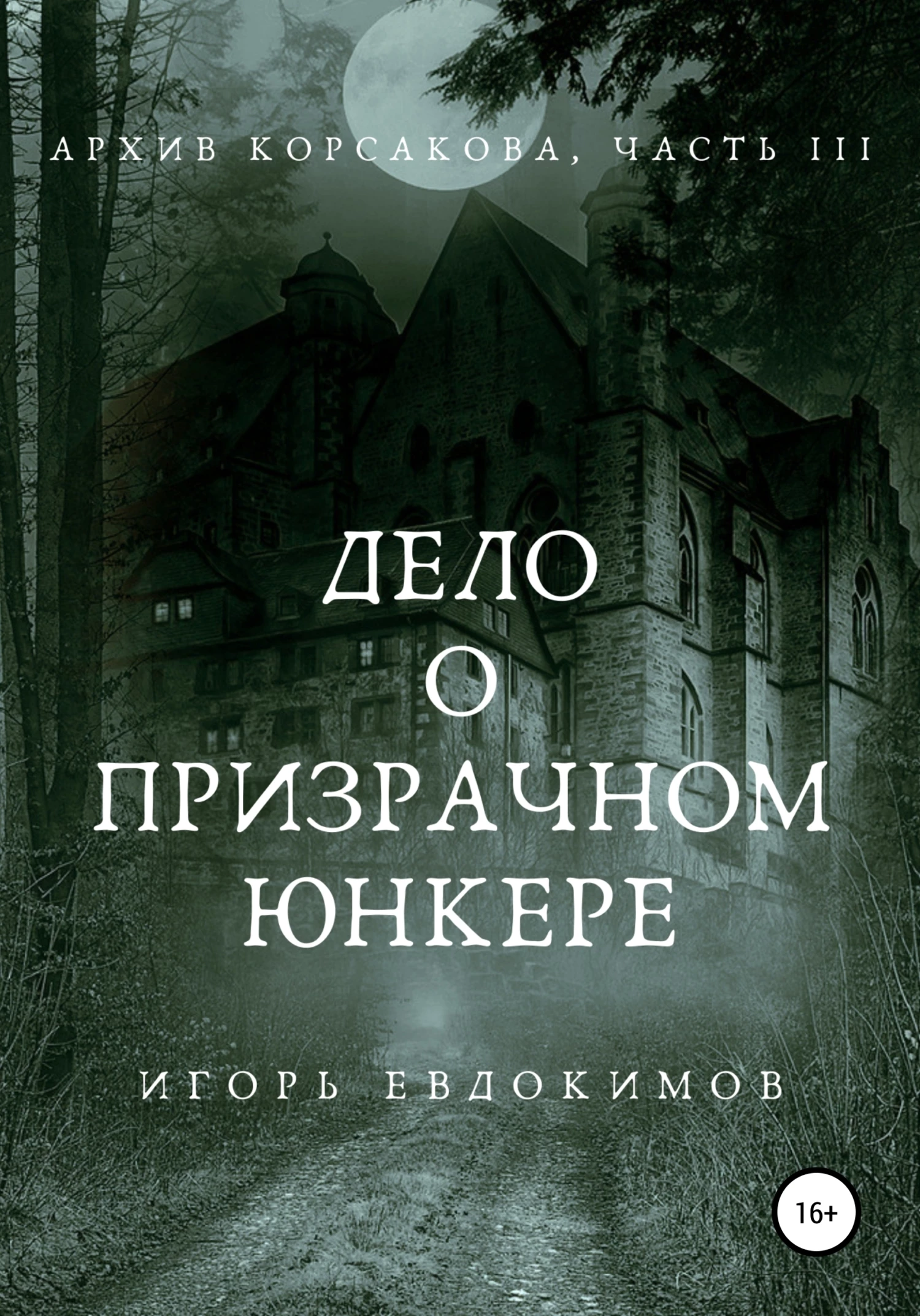 Книга Дело о призрачном юнкере