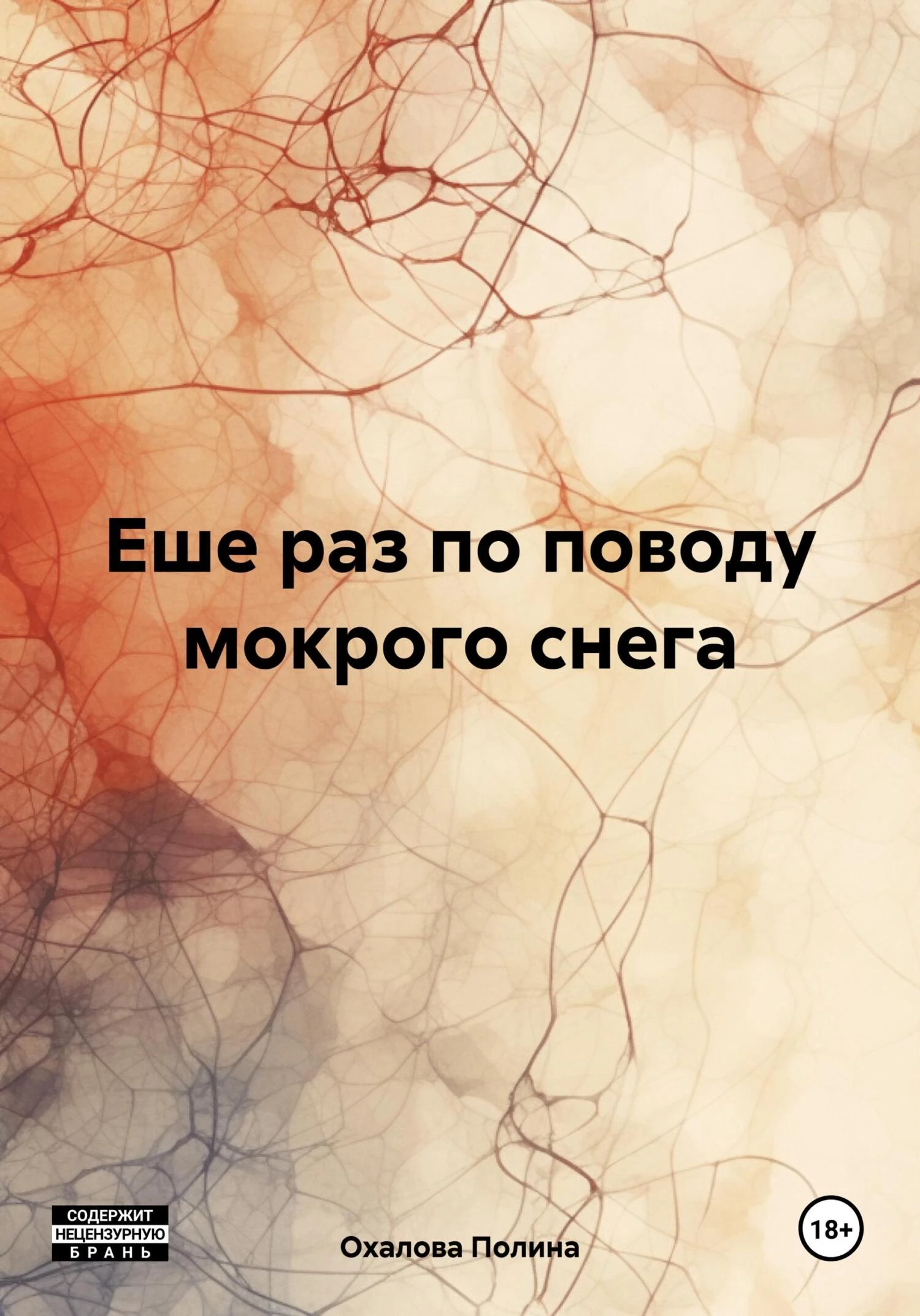 Книга Еше раз по поводу мокрого снега