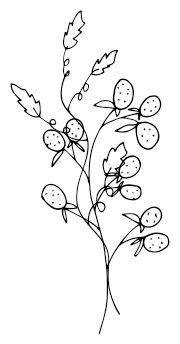 Иллюстрация к книге — Девушка из Монтаны [i_005.webp]