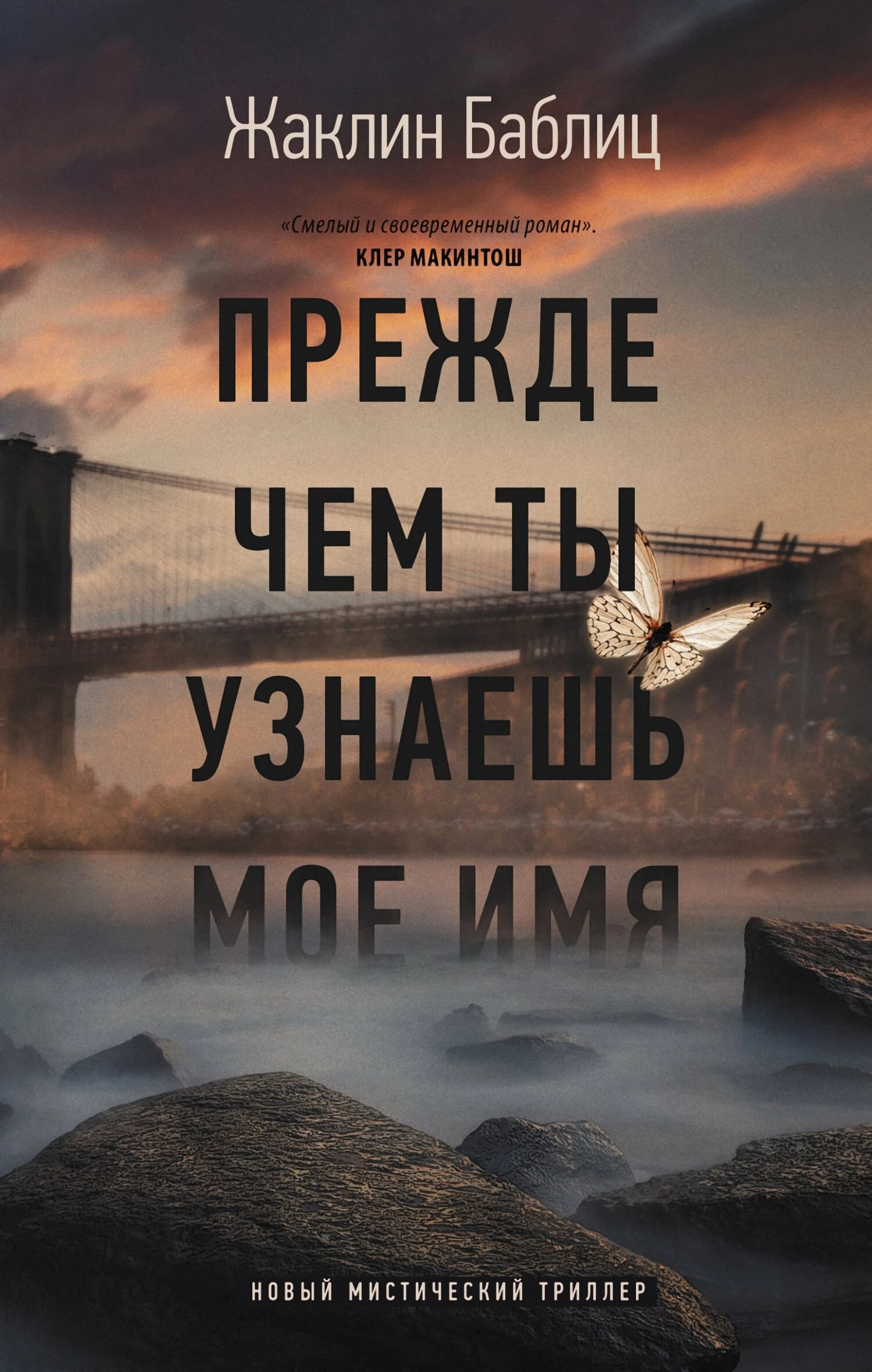 Книга Прежде чем ты узнаешь мое имя Книга Прежде чем ты узнаешь мое имя