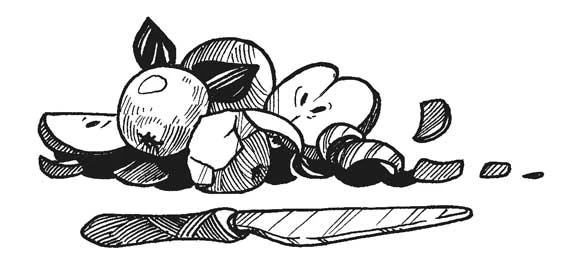 Иллюстрация к книге — Жюльен [litres] [i_006.webp]