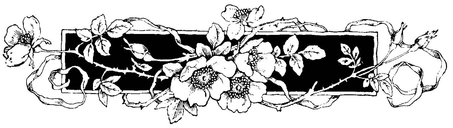 Иллюстрация к книге — Земля воров [_1.webp]