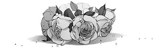 Иллюстрация к книге — Цветы пиона на снегу. Том 4 [i_006.webp]