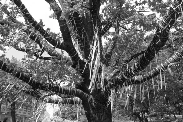 Иллюстрация к книге — О чём молчали города. Мистические истории [image6_5a36718dd3bbec0600e4b294_jpg.webp]