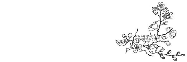 Иллюстрация к книге — Светлый пепел луны. Книга 1 [i_007.webp]