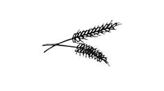 Иллюстрация к книге — Братство пекарей и магов [i_031.webp]