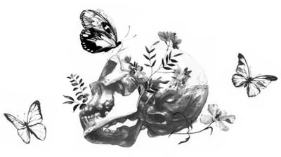 Иллюстрация к книге — Верховенство мёртвых теней [i_003.webp]