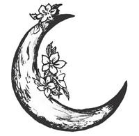 Иллюстрация к книге — Нити Дочерей Ночи [i_001.webp]