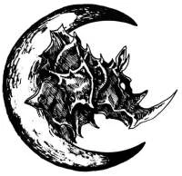 Иллюстрация к книге — Золотая нить богини [i_023.webp]