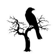 Иллюстрация к книге — О чем кричат Вороны [i_026.webp]