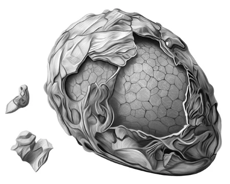 Иллюстрация к книге — Пепел жизни [i_006.webp]