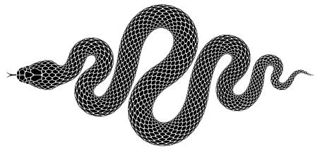 Иллюстрация к книге — Королевы и монстры. Яд [img7587.webp]