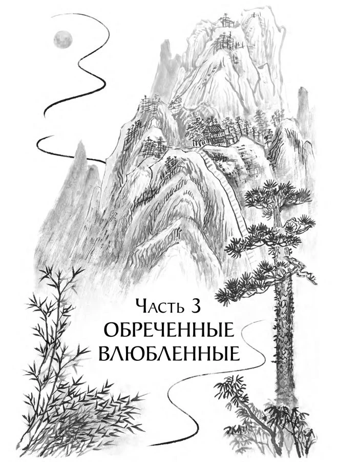Иллюстрация к книге — Последний дракон Востока. В нитях любви [i_026.webp]