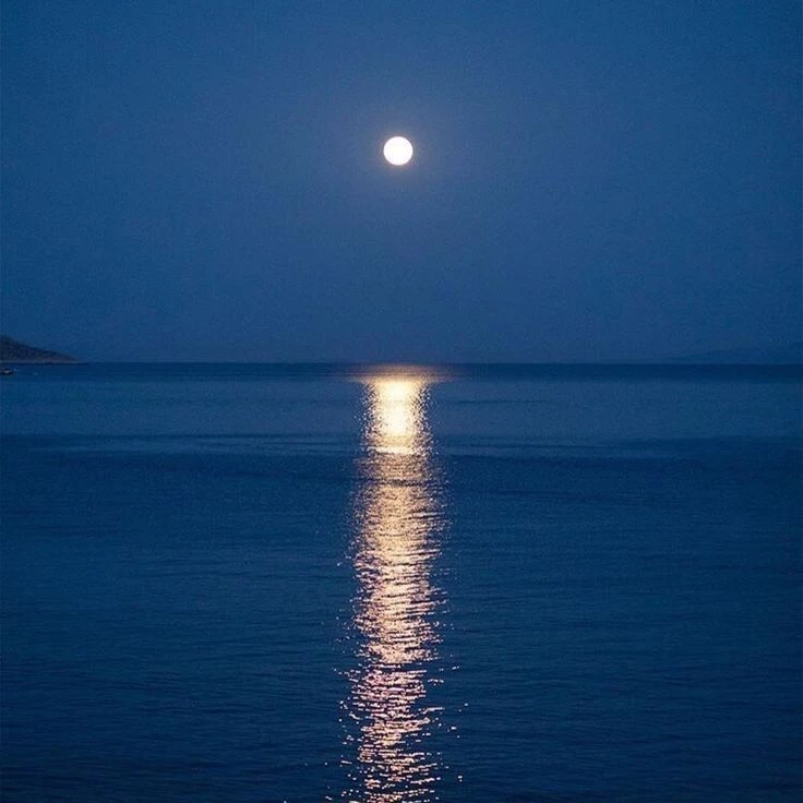 Иллюстрация к книге — Фрейлина. Предотвратить [07beeb00-b75b-402e-bc01-0c8c4c8e9e0f.webp]