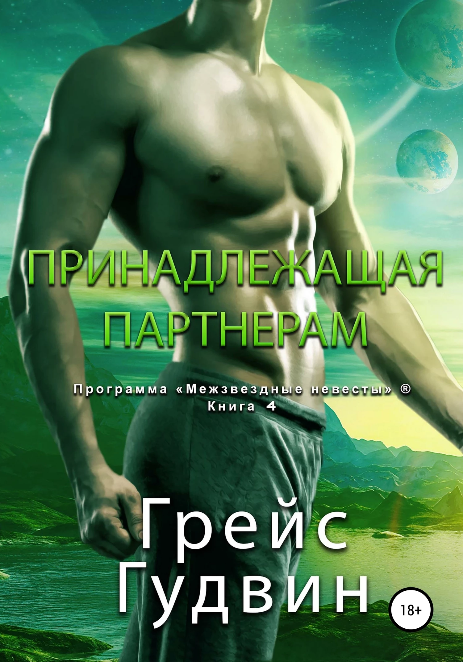 Книга Принадлежащая партнерам