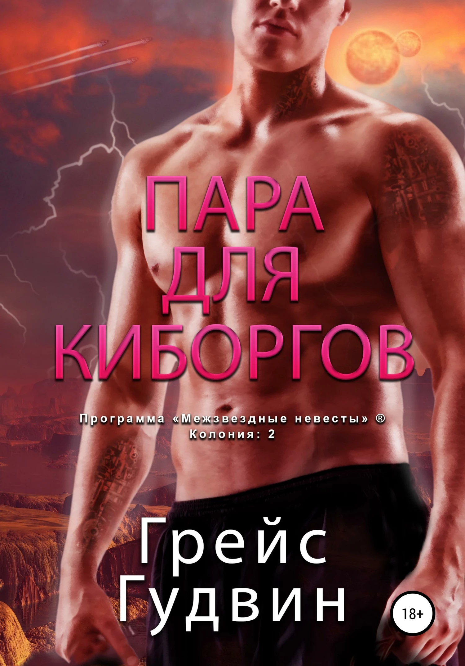 Книга Пара для киборгов