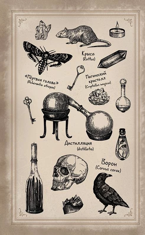 Иллюстрация к книге — Волшебная лавка Софи. Артефакт для наследницы [i_002.webp]