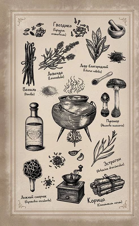 Иллюстрация к книге — Волшебная лавка Софи. Артефакт для наследницы [i_011.webp]