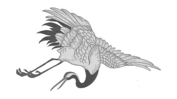 Иллюстрация к книге — Журавли летят на запад [i_001.webp]