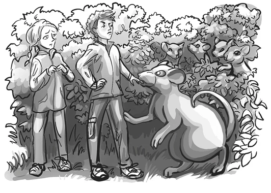 Иллюстрация к книге — Тайна мышиного короля [i_009.webp]