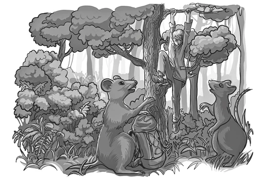 Иллюстрация к книге — Тропы между мирами [i_016.webp]