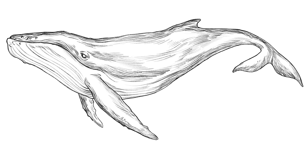 Иллюстрация к книге — Спи, милый принц [i_005.webp]