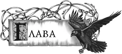 Иллюстрация к книге — Пробуждение Тьмы [i_015.webp]