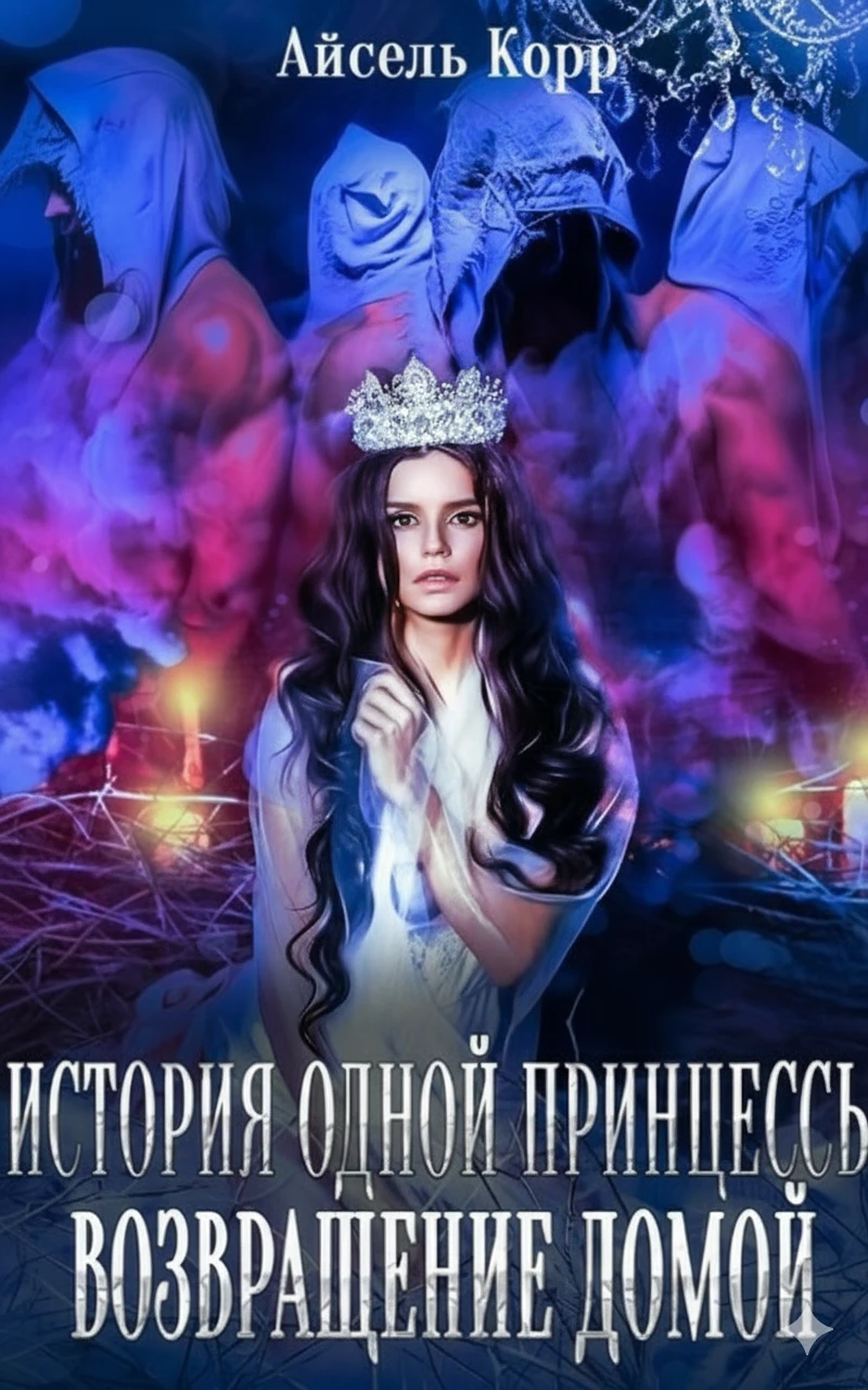 Книга Возвращение домой