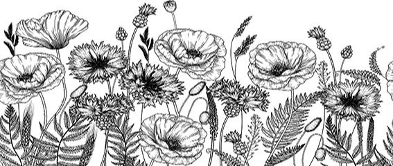 Иллюстрация к книге — Где распускается алоцвет [i_001.webp]