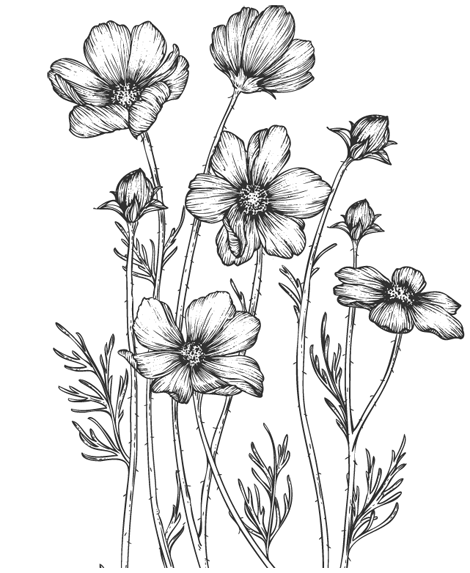 Иллюстрация к книге — Папа, я против этого брака! Том 2 [i_009.webp]