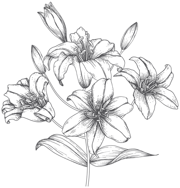 Иллюстрация к книге — Папа, я против этого брака! Том 1 [i_002.webp]