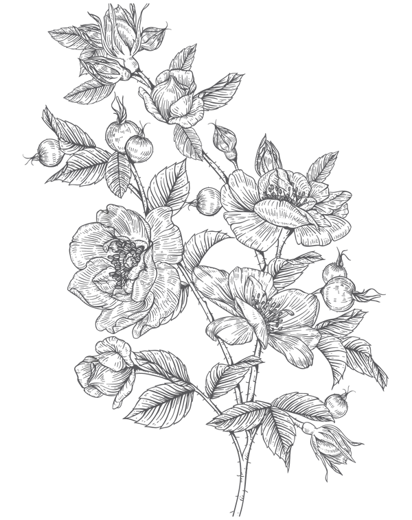 Иллюстрация к книге — Папа, я против этого брака! Том 1 [i_005.webp]