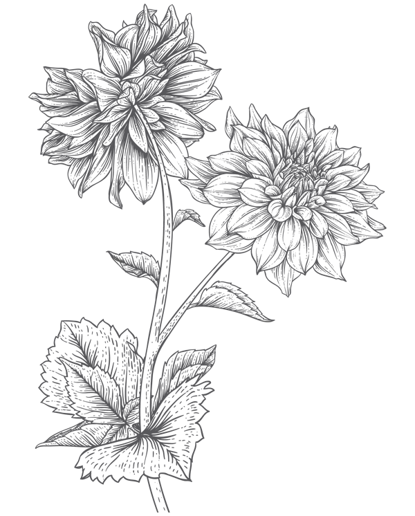 Иллюстрация к книге — Папа, я против этого брака! Том 1 [i_008.webp]