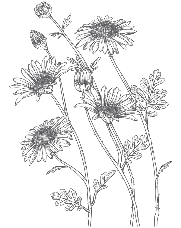 Иллюстрация к книге — Папа, я против этого брака! Том 1 [i_009.webp]