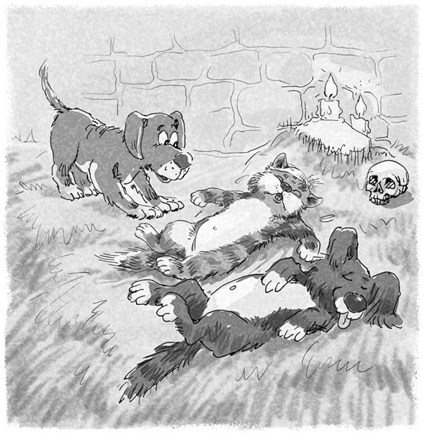 Иллюстрация к книге — Кот Страус и пещера страха [i_012.webp]