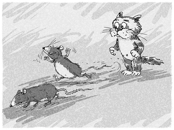 Иллюстрация к книге — Кот Страус и пещера страха [i_019.webp]