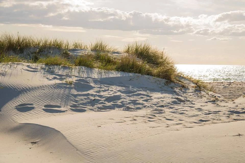 Иллюстрация к книге — Совенок. Вода и пламя. Шестая часть [dd5a1176-5584-49ac-8988-c4e9f5a6cb1f.webp]