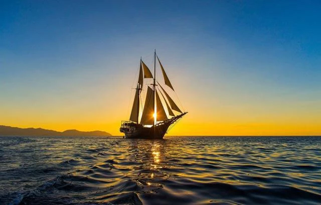 Иллюстрация к книге — Совенок. Путь к трону. Пятая часть [633f8e6b-aa8b-45a0-aef6-fded568a288d.webp]