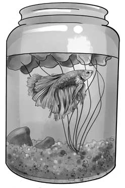 Иллюстрация к книге — Ночь упырей [i_021.webp]