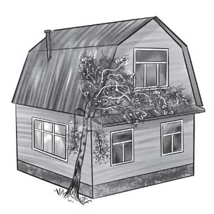 Иллюстрация к книге — Отсутствие жизни [i_038.webp]