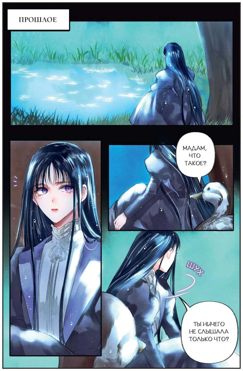 Иллюстрация к книге — Черный лебедь, ставшая матерью принцессы-лебедя. Том 1 [i_019.webp]