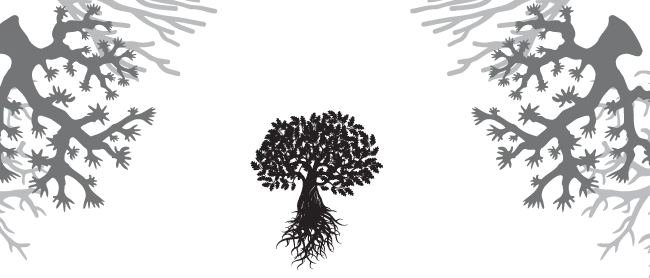 Иллюстрация к книге — Дуэт с герцогом сирен [i_002.webp]