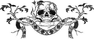 Иллюстрация к книге — Плетущая [i_005.webp]